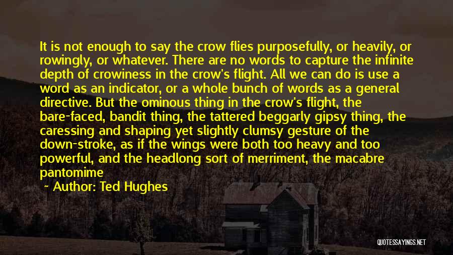 Not Your Time Yet Quotes By Ted Hughes