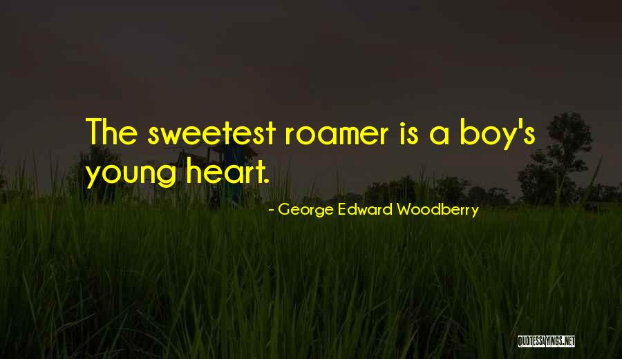 Notamment Translation Quotes By George Edward Woodberry Notamment Translation Quotes By George Edward Woodberry