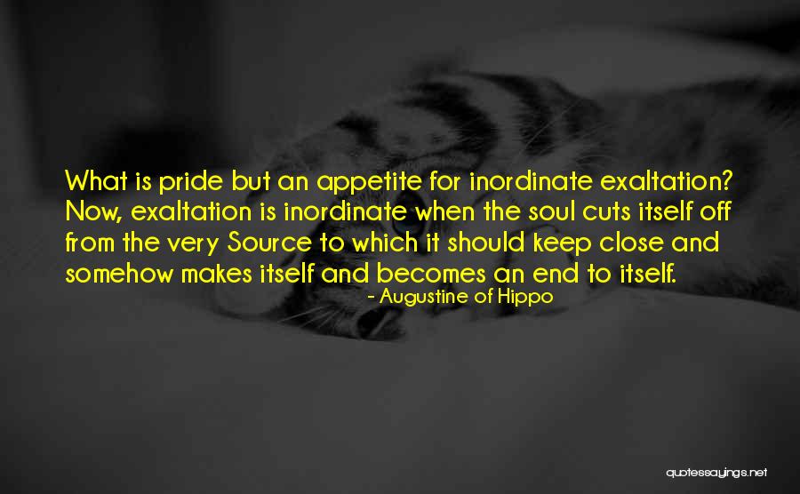 Notarissen Quotes By Augustine Of Hippo Notarissen Quotes By Augustine Of Hippo