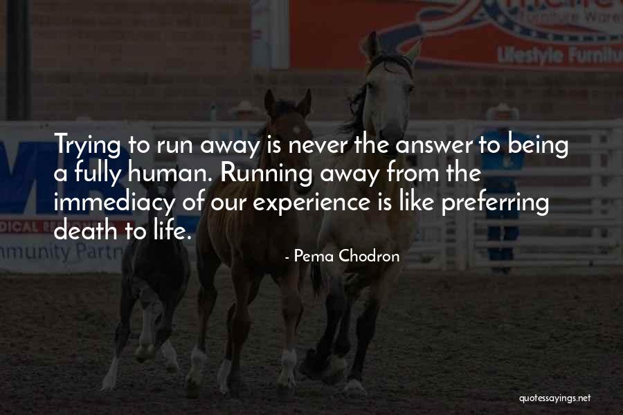 Notebaert Isabelle Quotes By Pema Chodron Notebaert Isabelle Quotes By Pema Chodron