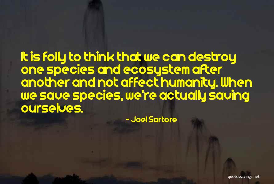 Notecard Dimensions Quotes By Joel Sartore Notecard Dimensions Quotes By Joel Sartore