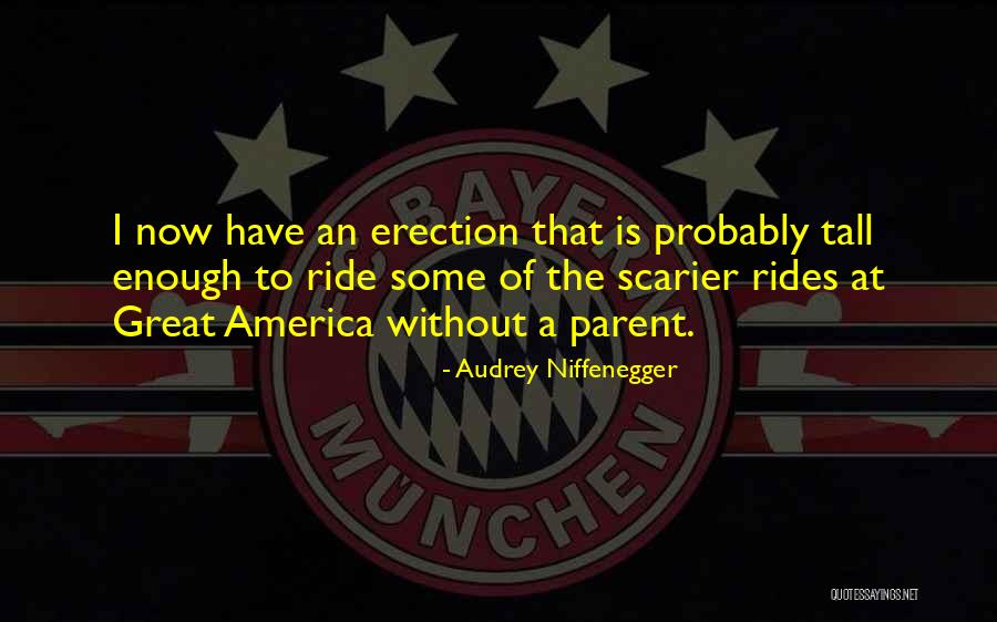 Noteerd Quotes By Audrey Niffenegger Noteerd Quotes By Audrey Niffenegger