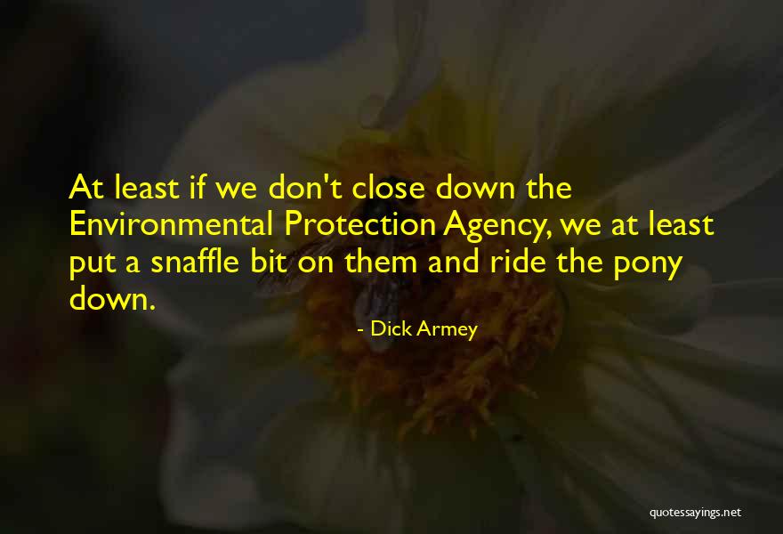 Nothemba George Quotes By Dick Armey Nothemba George Quotes By Dick Armey