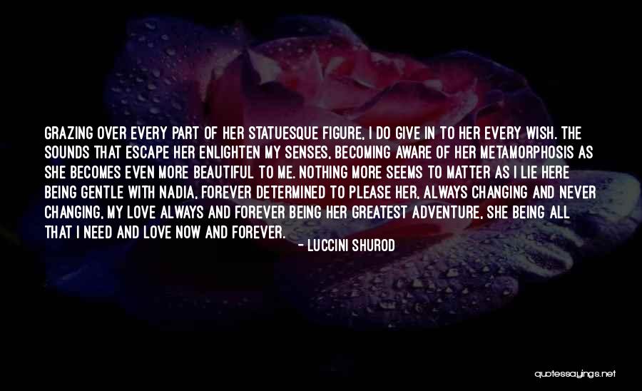 Nothing Being Forever Quotes By Luccini Shurod