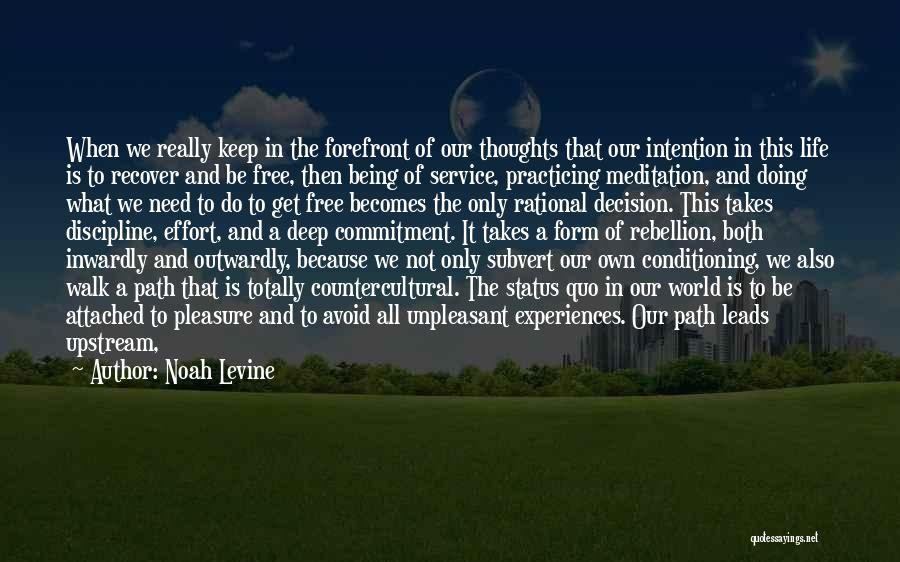 Nothing Being Free In Life Quotes By Noah Levine Nothing Being Free In Life Quotes By Noah Levine