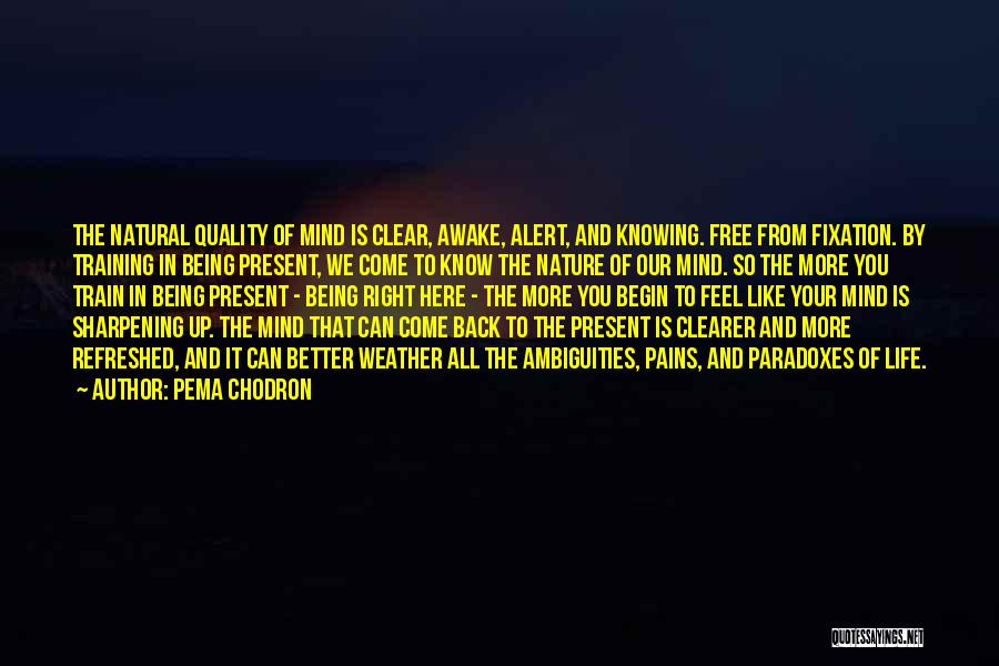 Nothing Being Free In Life Quotes By Pema Chodron Nothing Being Free In Life Quotes By Pema Chodron