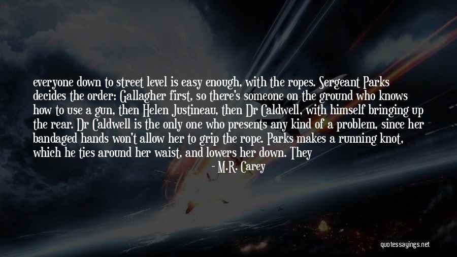 Nothing Bringing Me Down Quotes By M.R. Carey