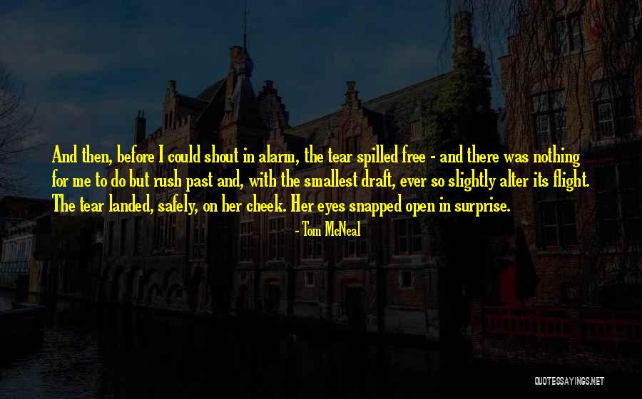 Nothing But Flight Quotes By Tom McNeal Nothing But Flight Quotes By Tom McNeal
