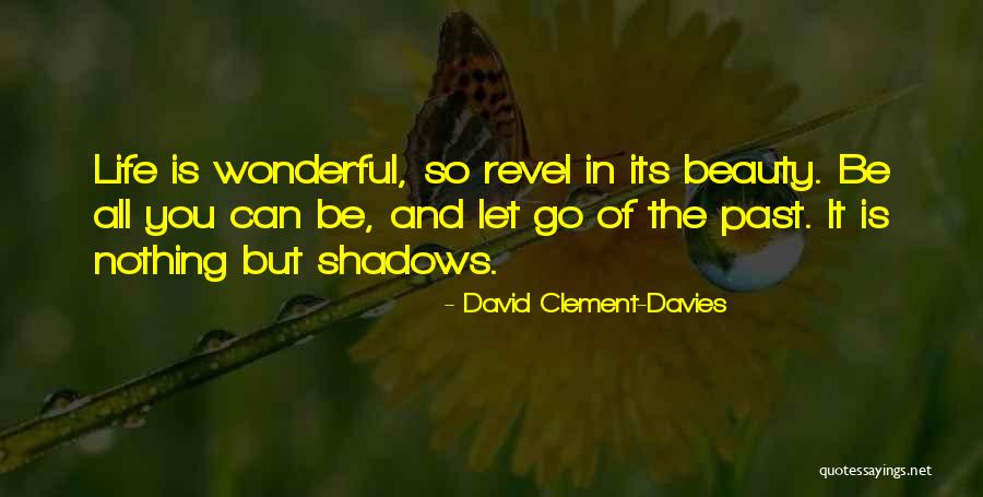 Nothing But Shadows Quotes By David Clement-Davies