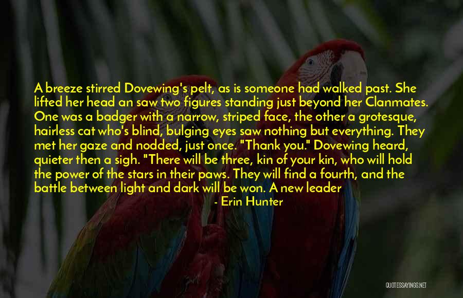 Nothing But Shadows Quotes By Erin Hunter Nothing But Shadows Quotes By Erin Hunter
