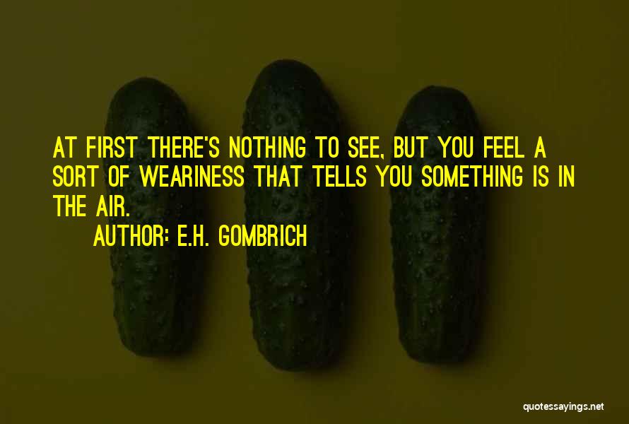 Nothing But Something Quotes By E.H. Gombrich