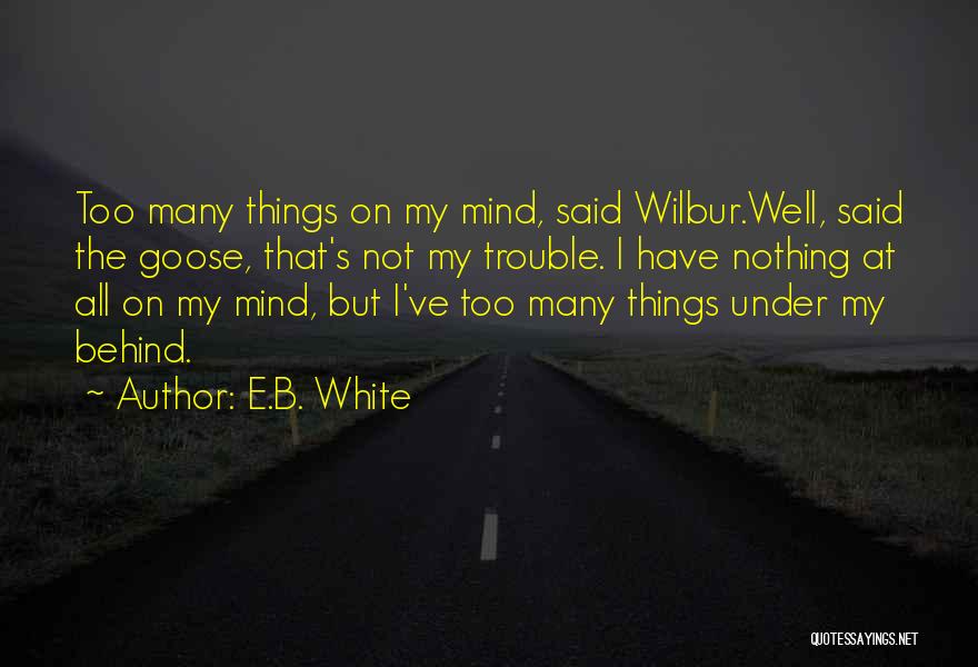 Nothing But Trouble Quotes By E.B. White