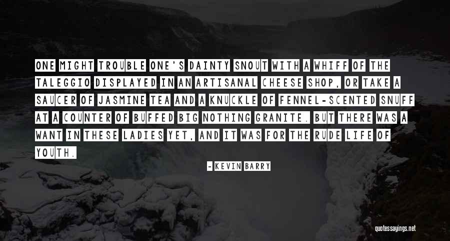 Nothing But Trouble Quotes By Kevin Barry Nothing But Trouble Quotes By Kevin Barry
