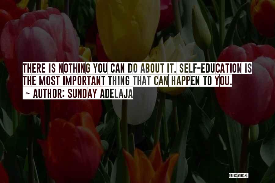 Nothing Can Do Quotes By Sunday Adelaja