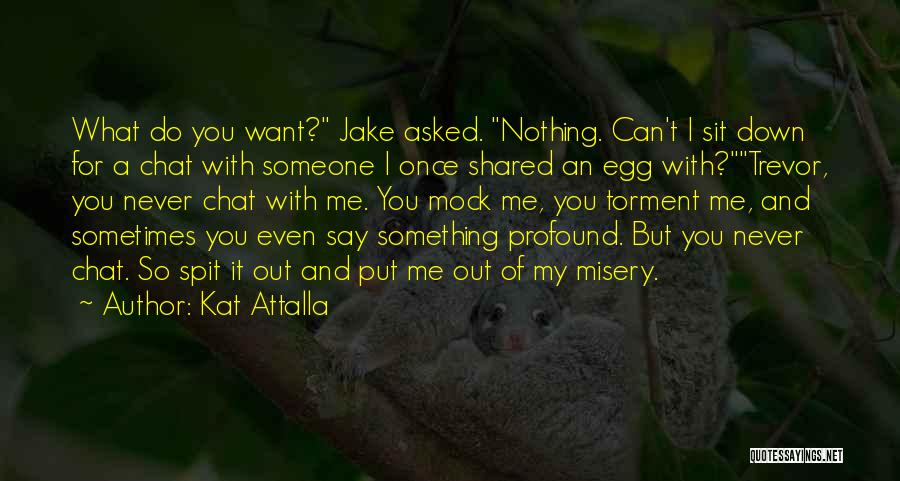 Nothing Can Put Me Down Quotes By Kat Attalla