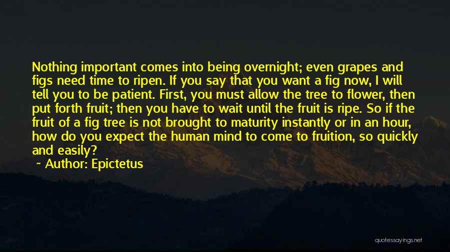 Nothing Comes Easily Quotes By Epictetus