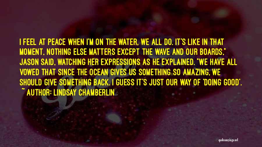 Nothing Else Matters Quotes By Lindsay Chamberlin