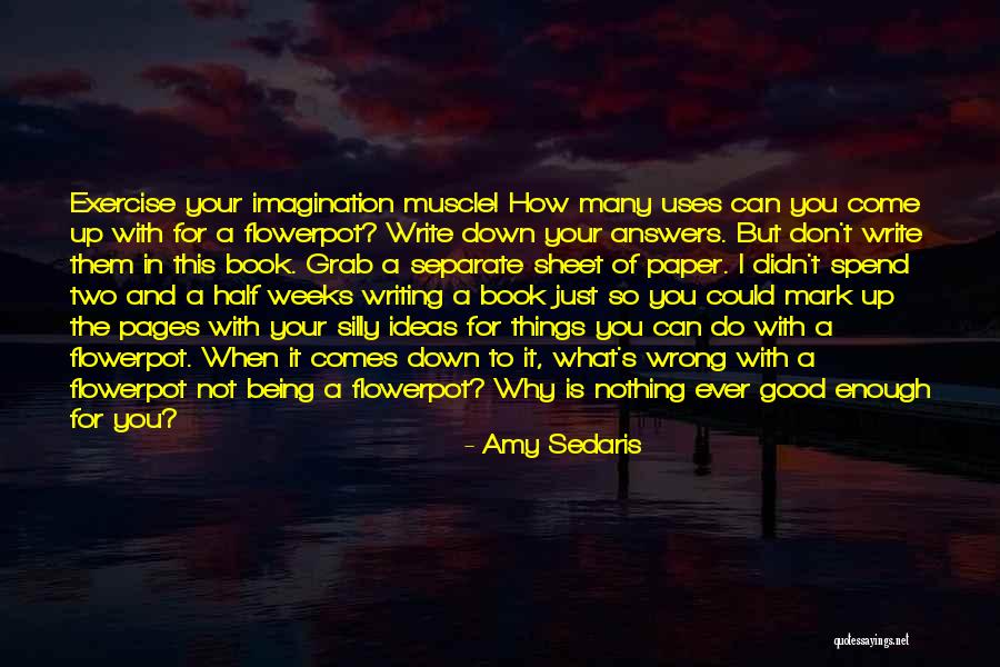 Nothing Ever Enough Quotes By Amy Sedaris Nothing Ever Enough Quotes By Amy Sedaris