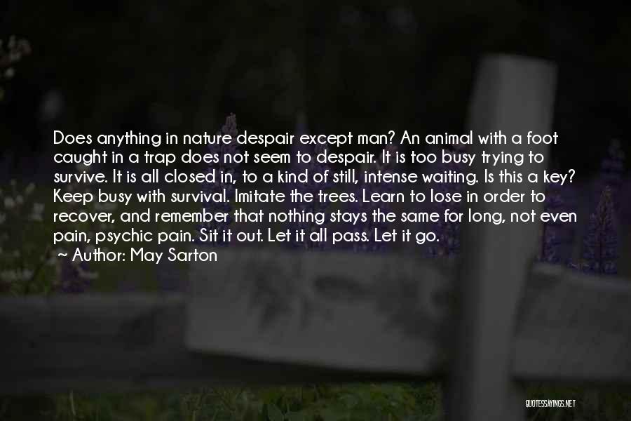 Nothing Ever Stays The Same Quotes By May Sarton