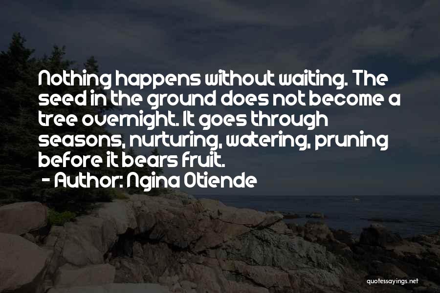 Nothing Happens Overnight Quotes By Ngina Otiende