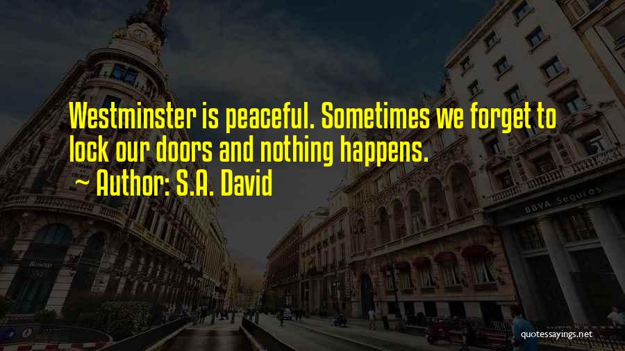 Nothing Happens Quotes By S.A. David