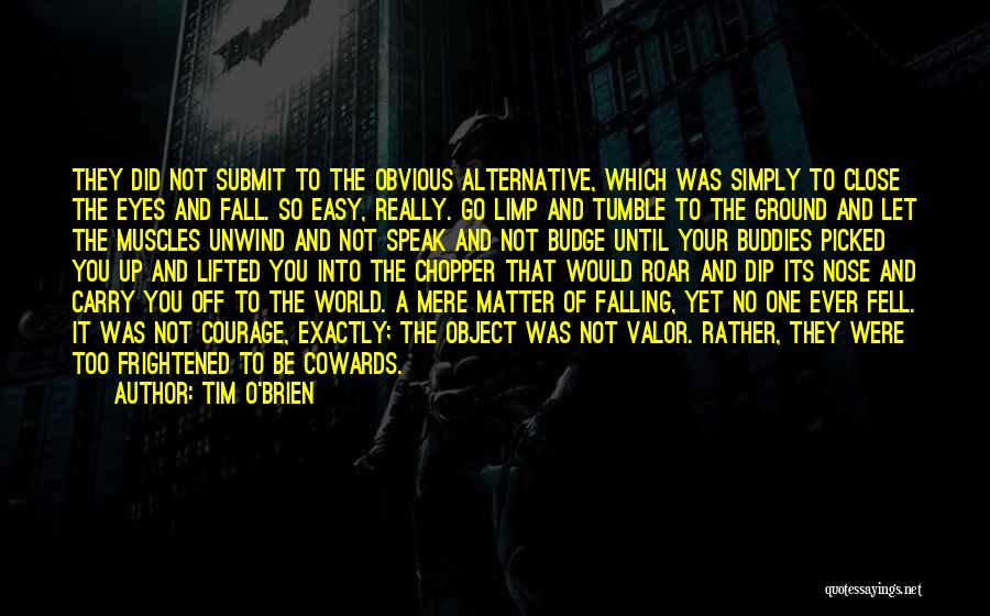 Nothing In This World Is Easy Quotes By Tim O'Brien