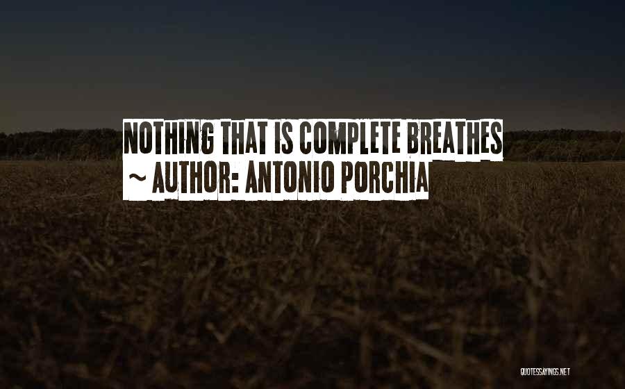 Nothing Is Complete Quotes By Antonio Porchia