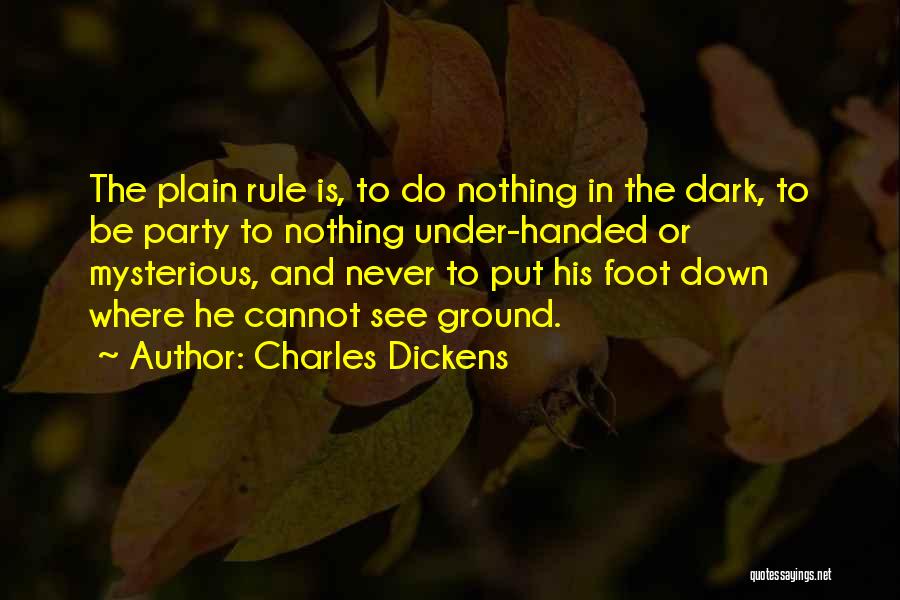 Nothing Is Handed To You Quotes By Charles Dickens