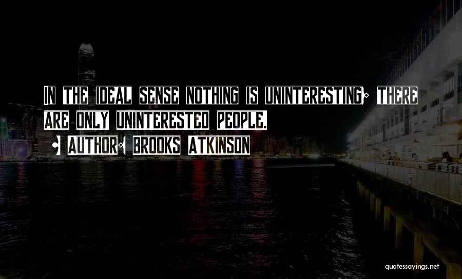 Nothing Is Ideal Quotes By Brooks Atkinson