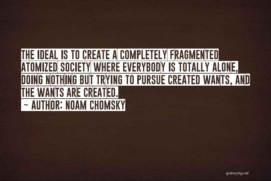 Nothing Is Ideal Quotes By Noam Chomsky