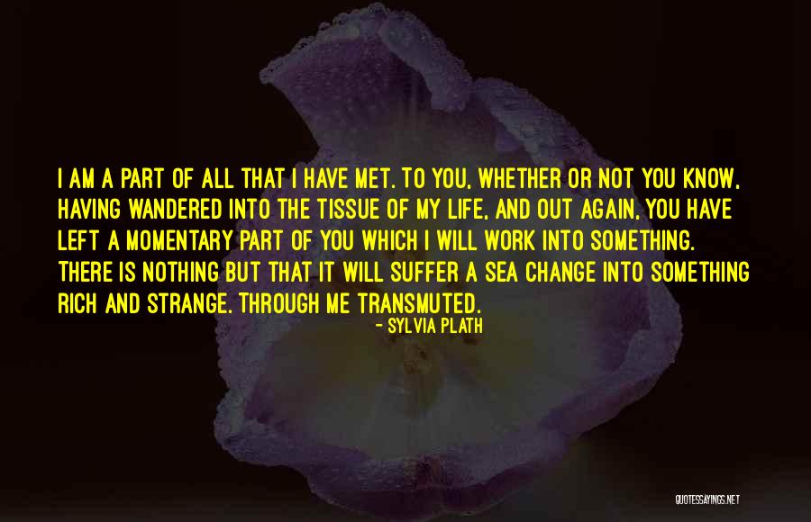 Nothing Is Left Quotes By Sylvia Plath Nothing Is Left Quotes By Sylvia Plath