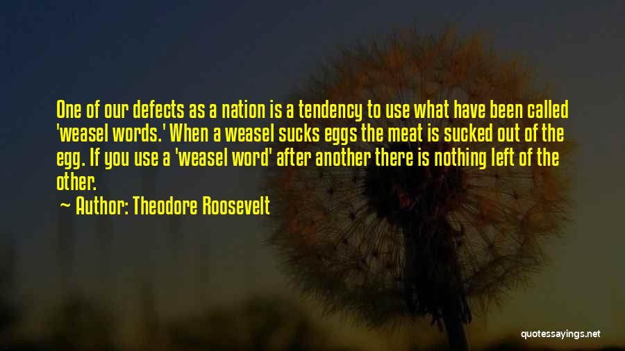 Nothing Is Left Quotes By Theodore Roosevelt