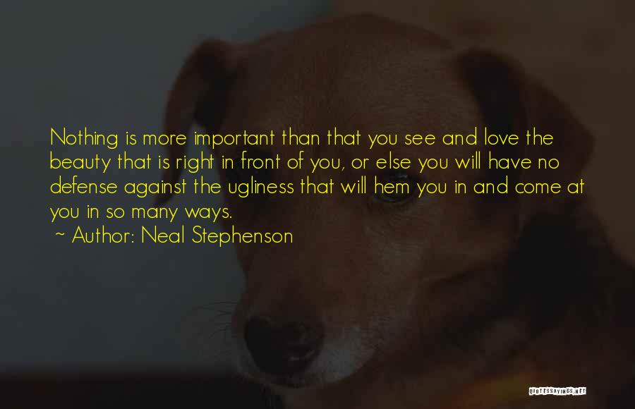 Nothing Is More Important Than Love Quotes By Neal Stephenson