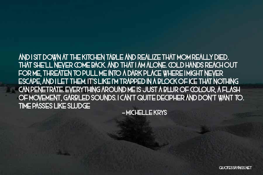 Nothing Is Out Of Reach Quotes By Michelle Krys Nothing Is Out Of Reach Quotes By Michelle Krys