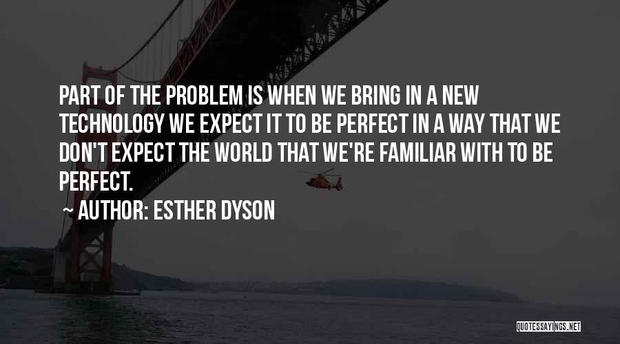 Nothing Is Perfect In This World Quotes By Esther Dyson