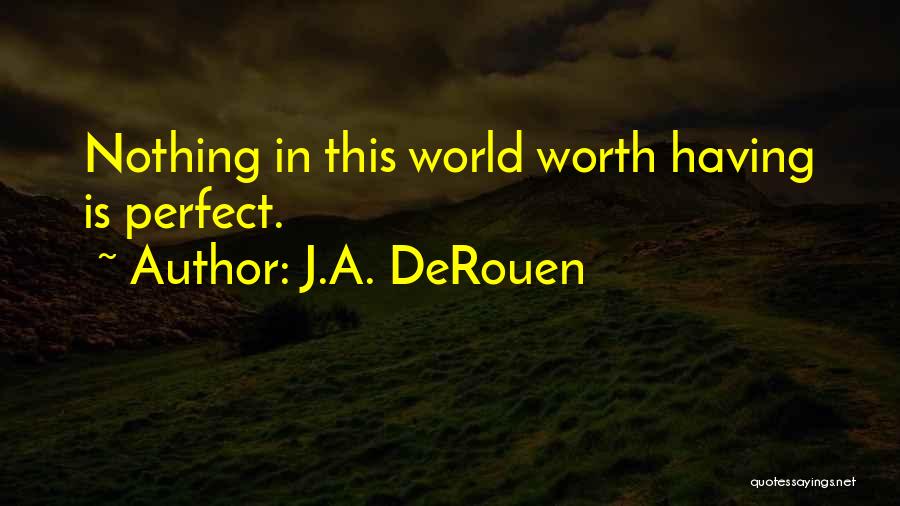 Nothing Is Perfect In This World Quotes By J.A. DeRouen