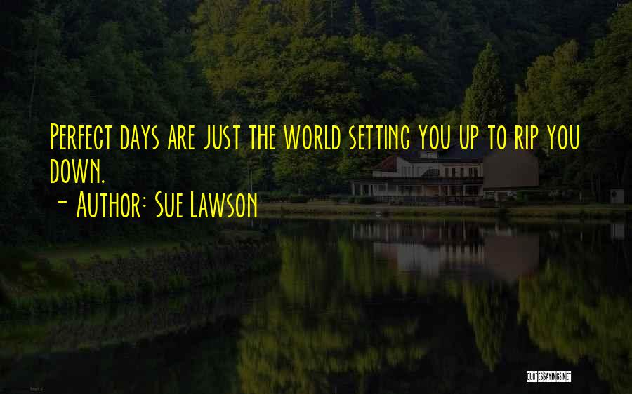 Nothing Is Perfect In This World Quotes By Sue Lawson