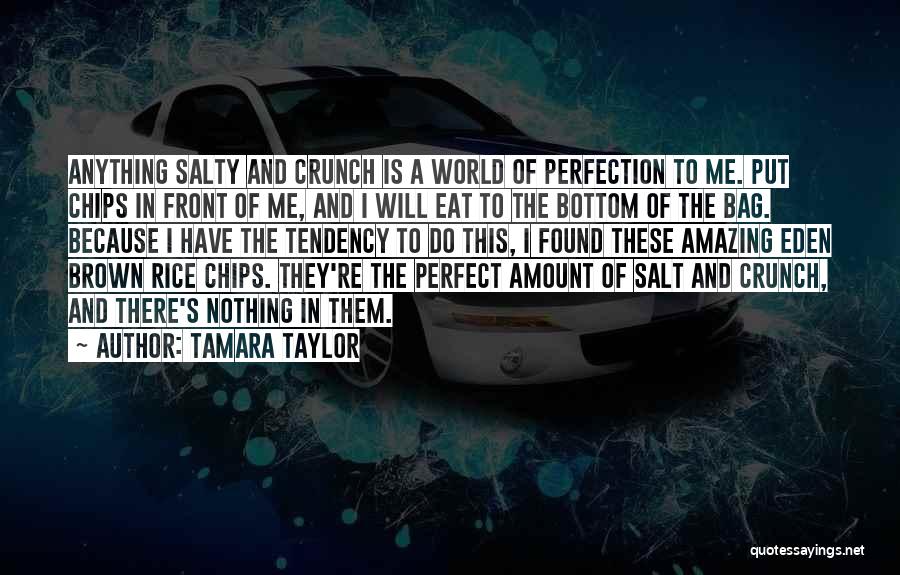 Nothing Is Perfect In This World Quotes By Tamara Taylor