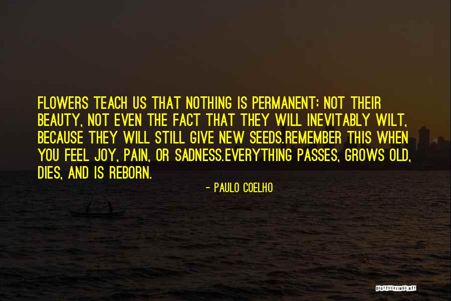 Nothing Is Permanent Quotes By Paulo Coelho