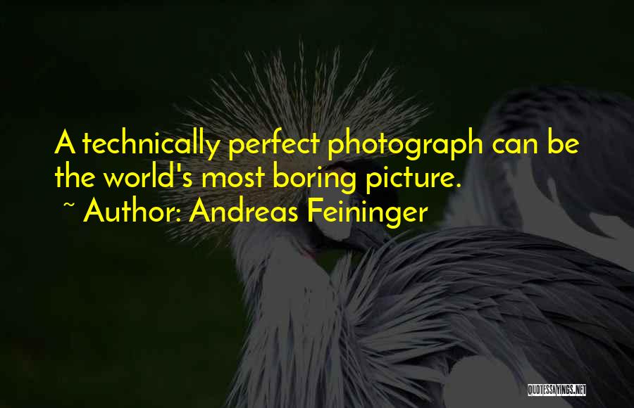 Nothing Is Picture Perfect Quotes By Andreas Feininger