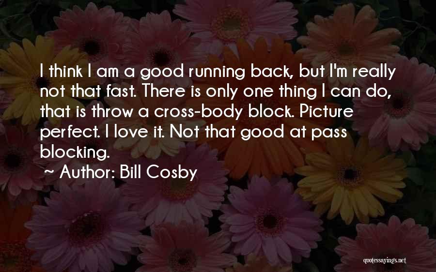 Nothing Is Picture Perfect Quotes By Bill Cosby