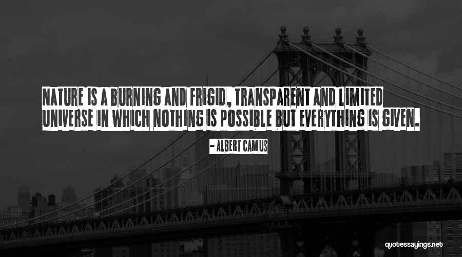 Nothing Is Possible Quotes By Albert Camus Nothing Is Possible Quotes By Albert Camus