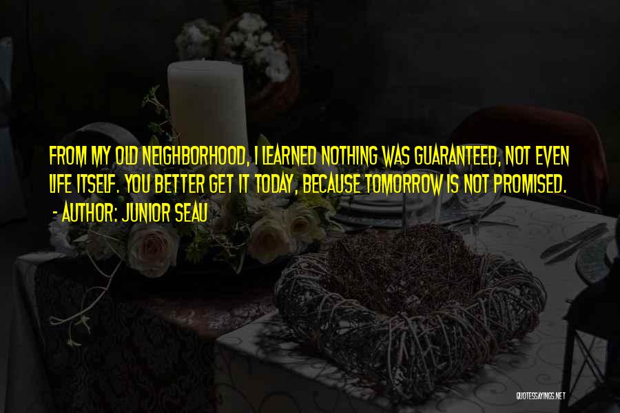 Nothing Is Promised Tomorrow Quotes By Junior Seau