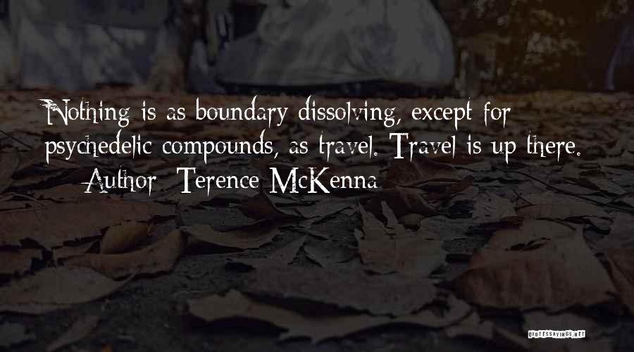 Nothing Is Quotes By Terence McKenna