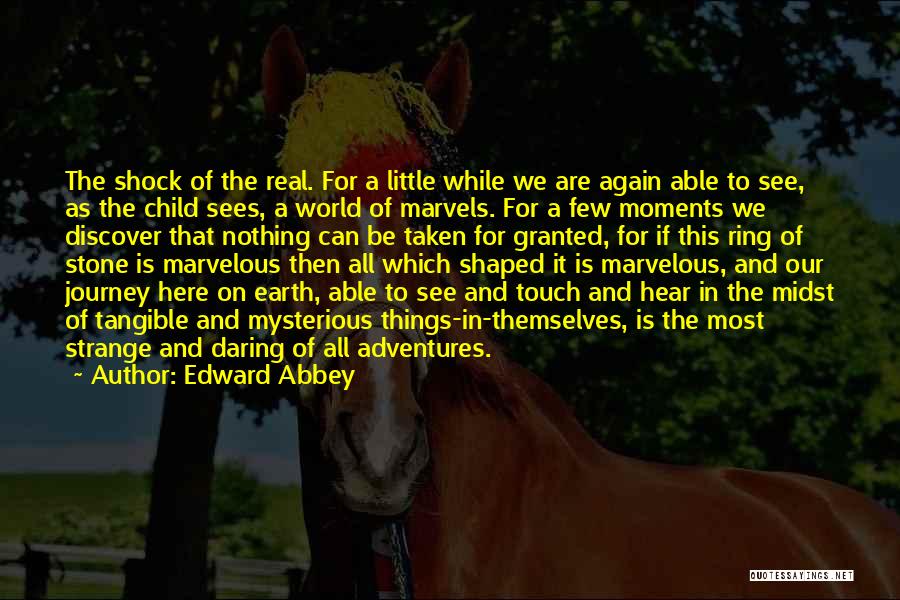 Nothing Is Real In This World Quotes By Edward Abbey