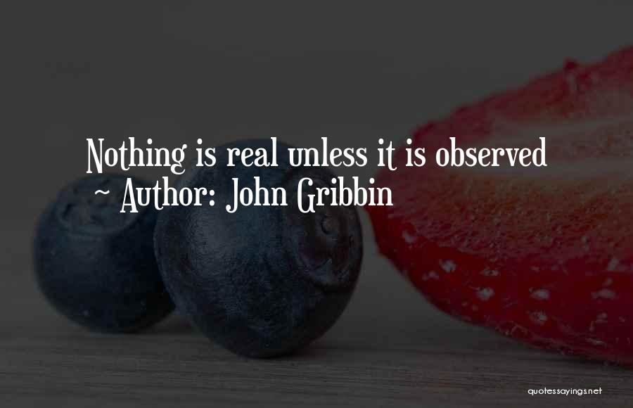 Nothing Is Real Quotes By John Gribbin