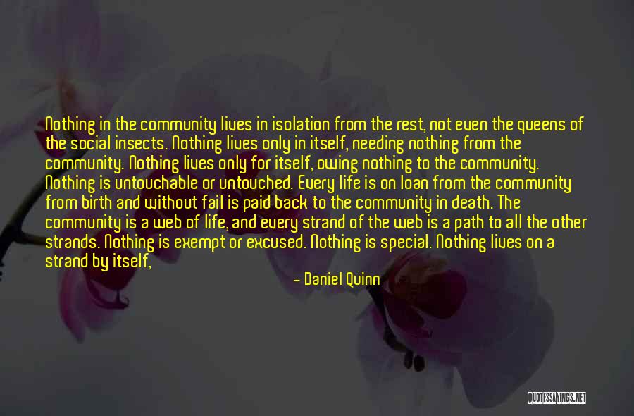 Nothing Is Wasted Quotes By Daniel Quinn Nothing Is Wasted Quotes By Daniel Quinn