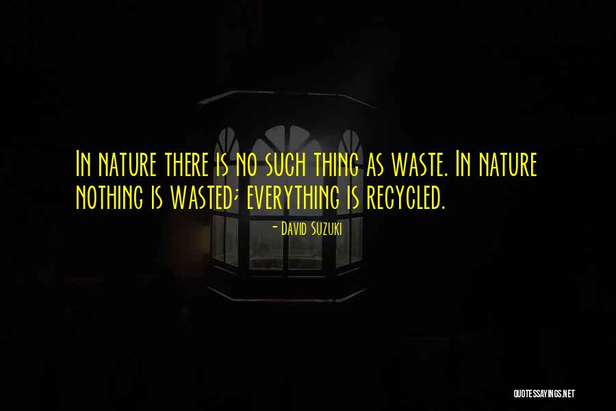 Nothing Is Wasted Quotes By David Suzuki Nothing Is Wasted Quotes By David Suzuki