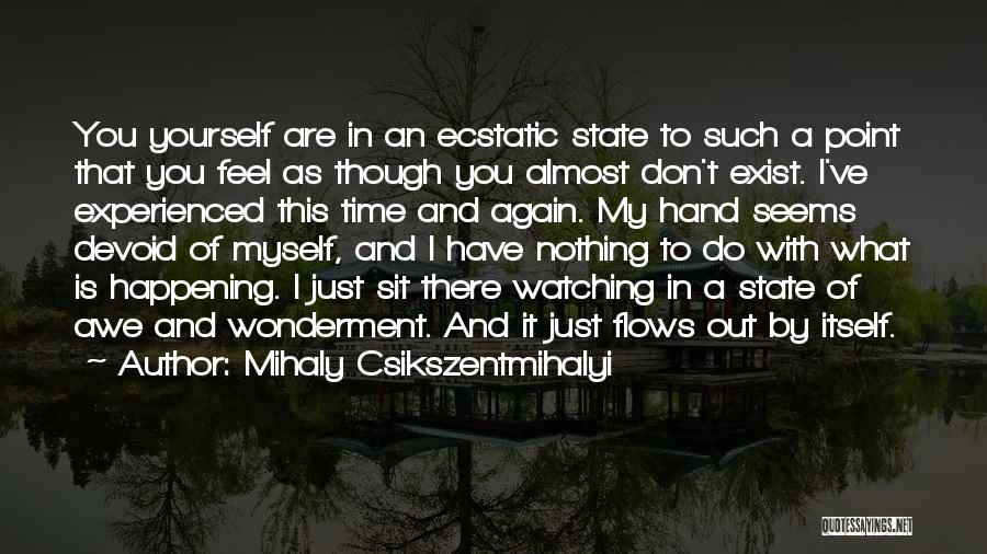 Nothing Is What It Seems Quotes By Mihaly Csikszentmihalyi