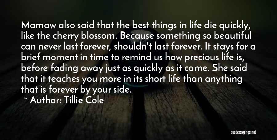 Nothing Last Forever Short Quotes By Tillie Cole